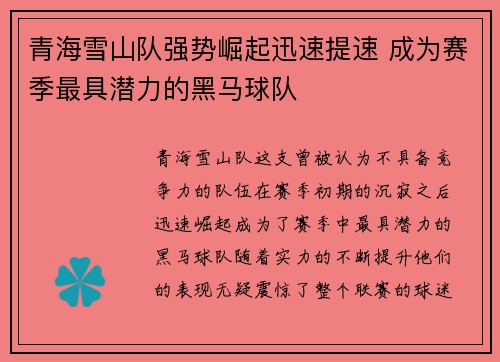 青海雪山队强势崛起迅速提速 成为赛季最具潜力的黑马球队